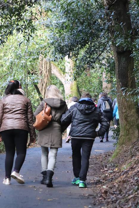 Tolosako ikasleek zuhaitzak  3 1520435425517