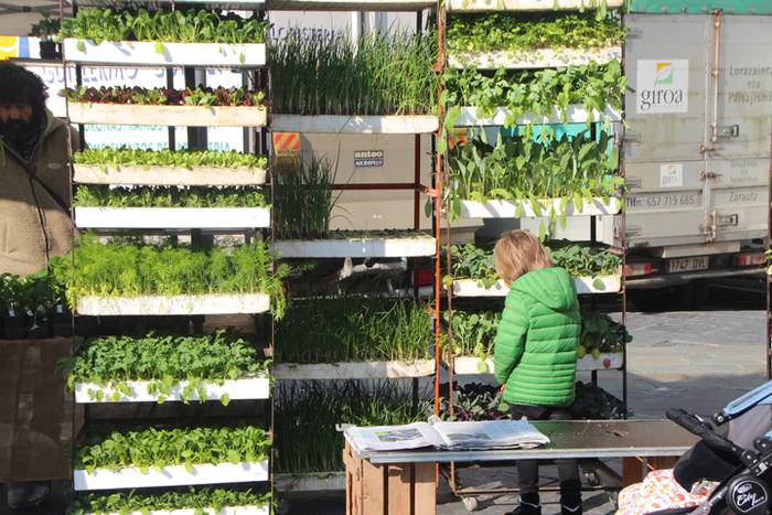 Azoka, hala moduzkoa; denbor 21 1519479099303