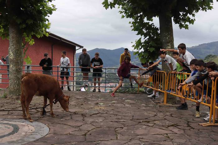 Zezen txikien aurretik 9 1656263614493