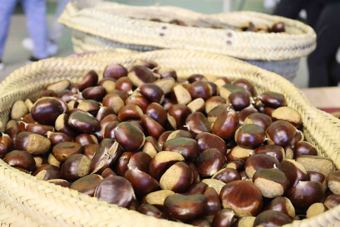 Giro ederra sortu da Asteasu 54 1664106966217