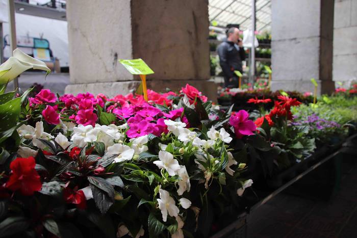 Lore eta Landare Azoka 2019 12 1558171900283