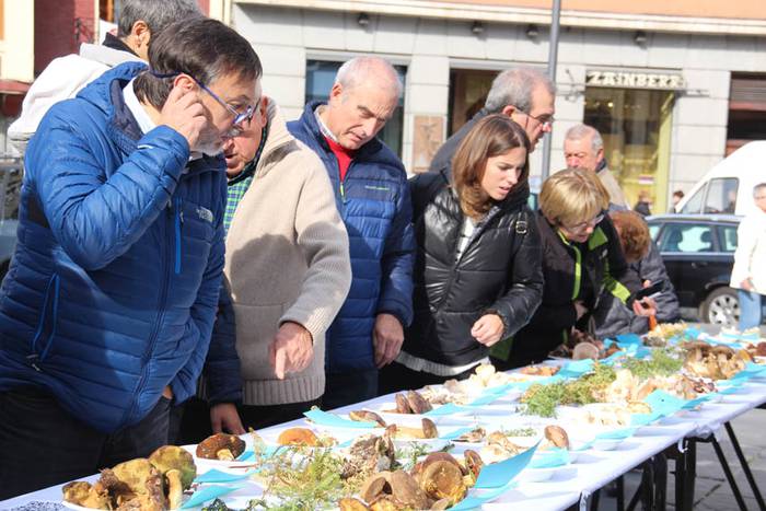 Mikologika 2015 azoka eguna 2 1445082988779