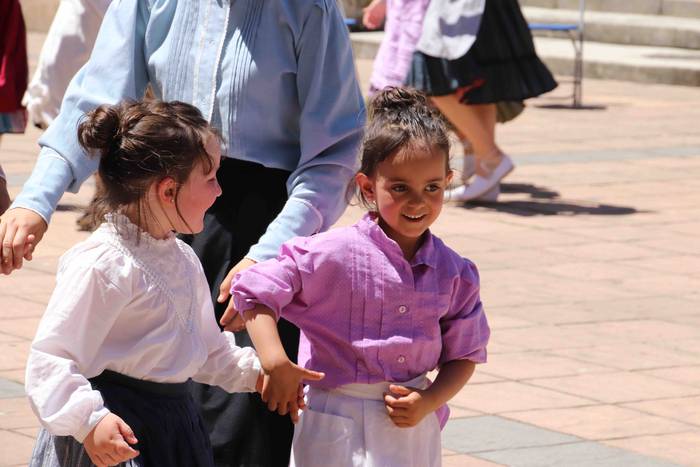 Lizartza Erromeria Eguna 201 58 1559411015503