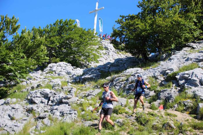 T3T, Hernio 2019 43 1560687998726