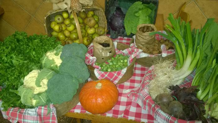 Berrobi bizia sukalde goxoa 5 1450715273181