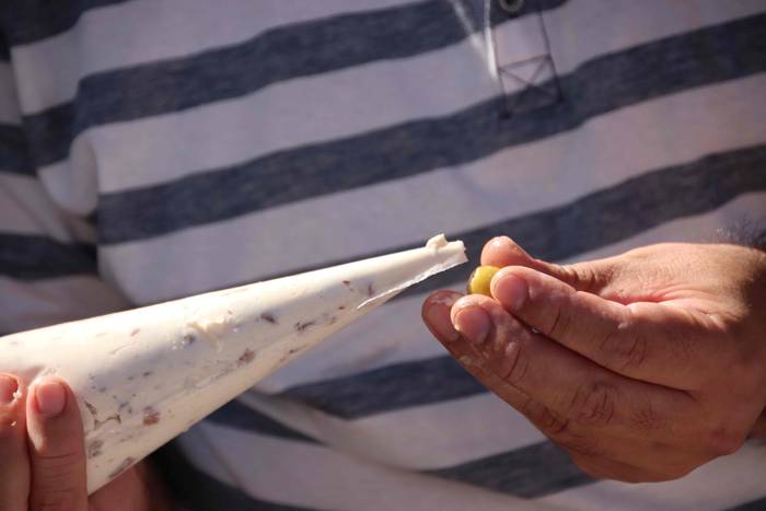 "Ibarra, Azoka eta Piparra" 45 1537103086765