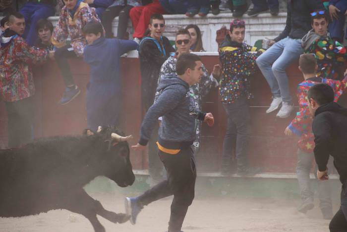 Lehenengo zezen festa, prime 19 1551374976374