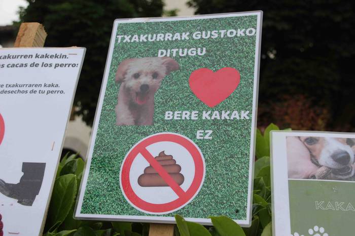 Txakur kakak jasotzeko karte 3 1653302368973