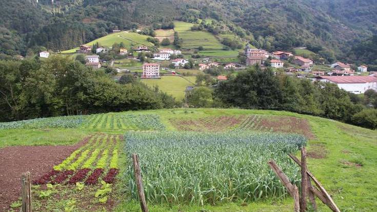 «Proiektuek irauteko berme bakarra komunitate izaera edukitzea da»