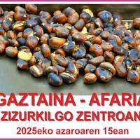 Gaztaina-afaria