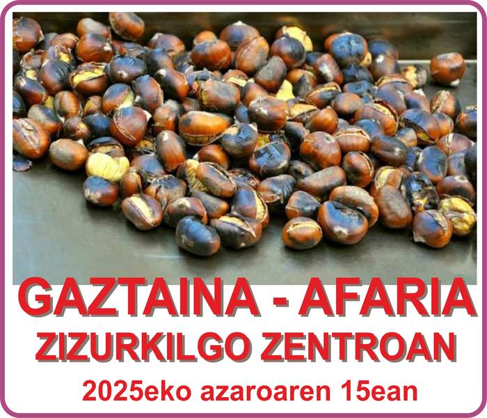 Gaztaina-afaria