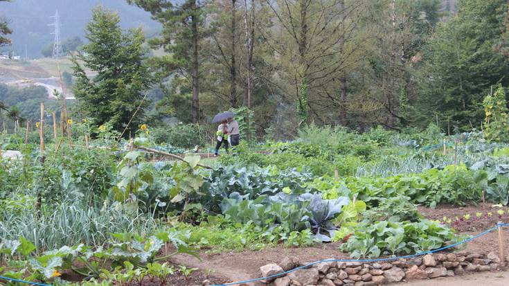 Baratze parkean izena emateko aukera