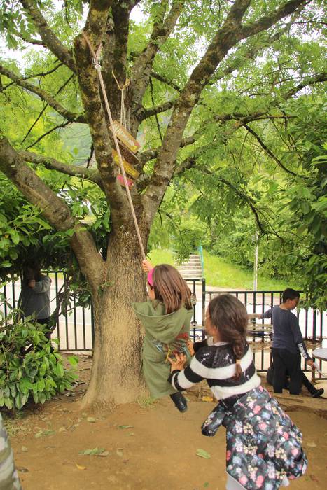 Samaniego Ikastetxea Lehen H 30 1559207399256