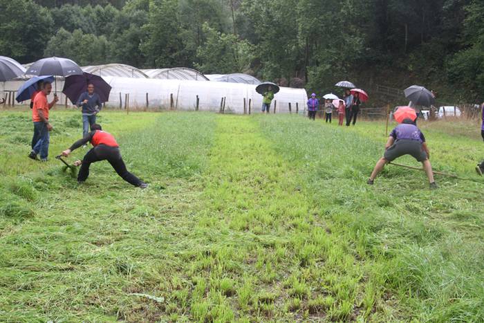 Segalariak, euria eta txakurraren aurka korrika 30 1474130945180