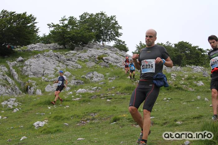 T3T tontor 2016 hernio 66 1466351094598