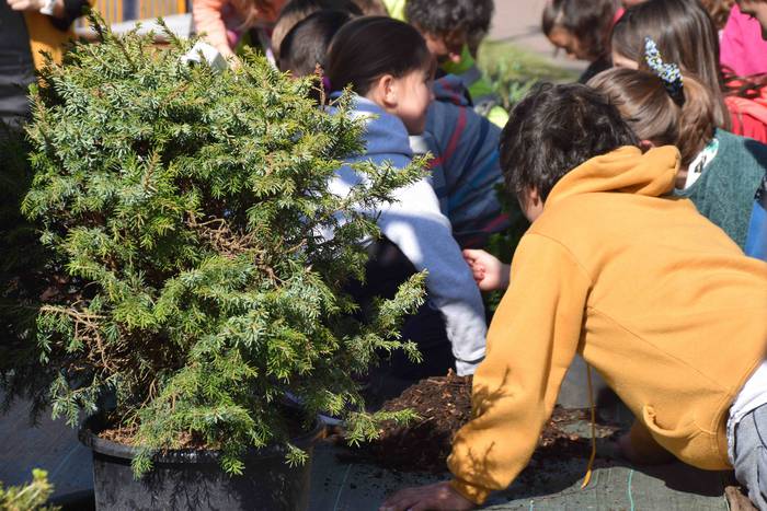 Zuhaitz Eguna ospatzen ari d 22 1553854276981