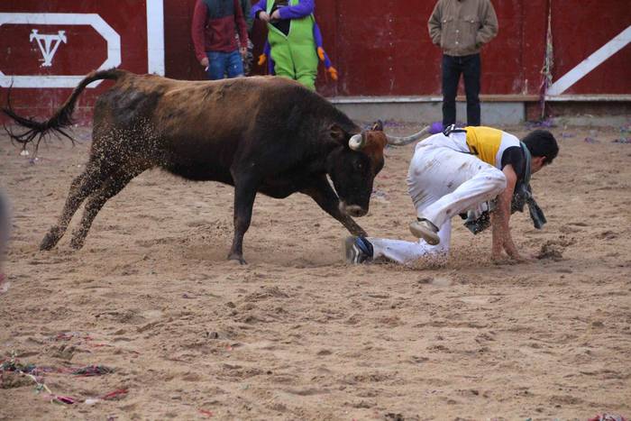 Tolosako Inauteriak 2022 Ast 45 1646130178240