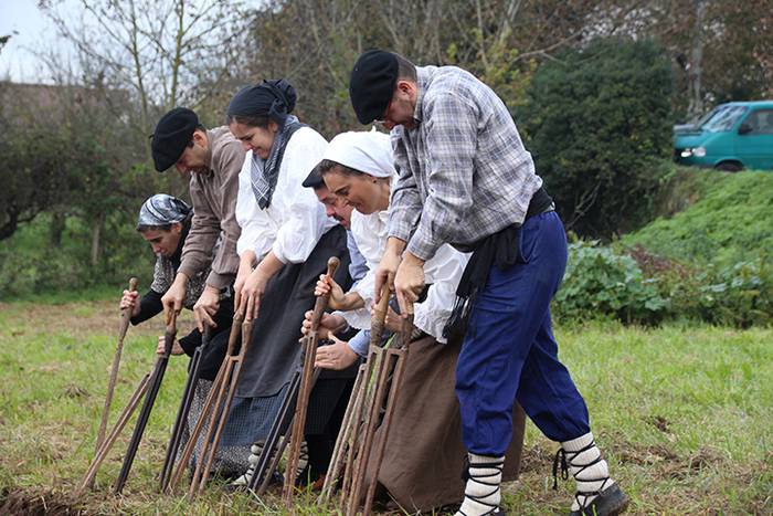 ADUNAKO KULTUR ASTEA 2017. G 28 1511018010846