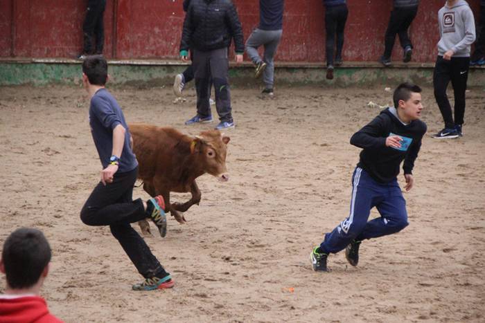 Txaranga eta zezenak piñata  38 1488738948584