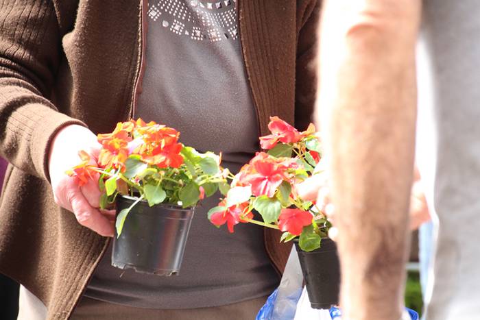 Udaberria loratu da Tolosan 24 1526734123688