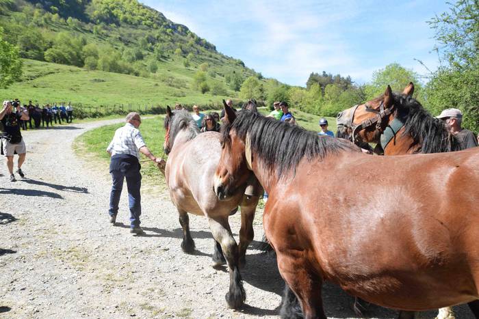 Larrerati dituzte abereak Ar 51 1556716320590