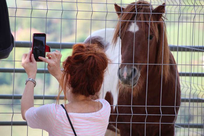 Goizez lan, arratsaldez fest 10 1572186202760