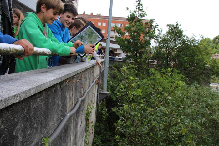 Espezia inbaditzaileak 13 1494600482035