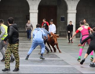 Gipuzkoako Foru Aldundiak inauterietan zezen-festak eta sokamuturrak egin ahalko direla berretsi du