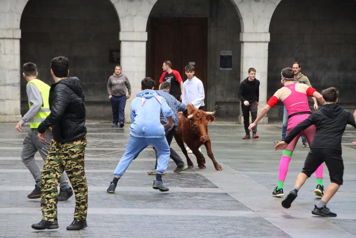 Gipuzkoako Foru Aldundiak inauterietan zezen-festak eta sokamuturrak egin ahalko direla berretsi du