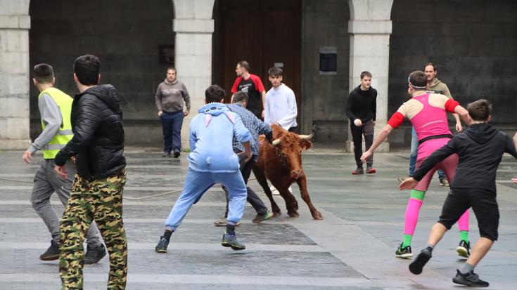 Gipuzkoako Foru Aldundiak inauterietan zezen-festak eta sokamuturrak egin ahalko direla berretsi du