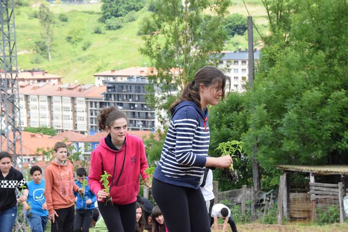 Piper landaketa uzturpe gureak  789 taldea 27 1464793776379