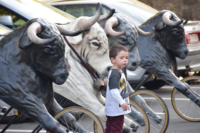 Berazubiko festak 2017, zeze 3 1507822701230