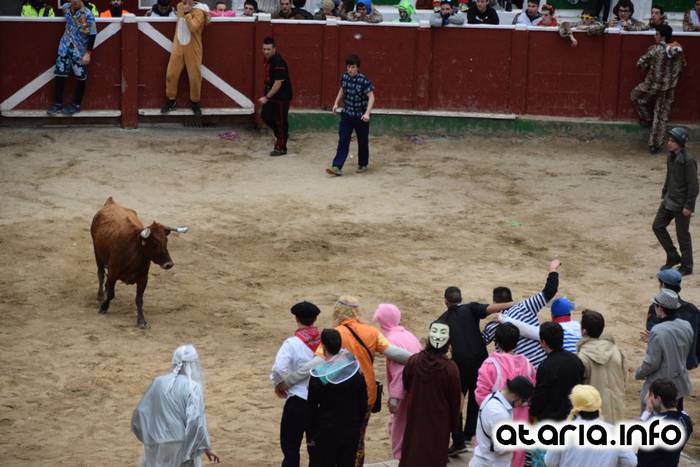 Pattar zezena 2016 52 1455012402563