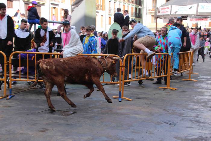 Soka zintzilik eta muturrak  9 1646140690205