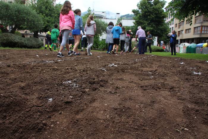 Aurtengoa, biolinak gozatua 30 1497265116949