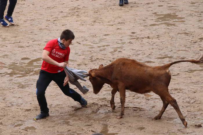 Txikienak zezen txikien aurr 6 1552240867199