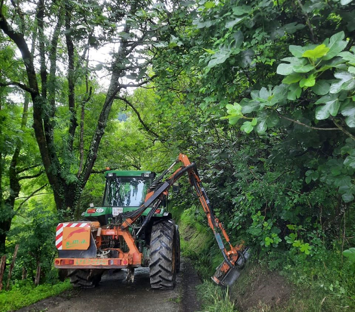 Landa eremuko bideen bazterrak garbitzen ariko dira
