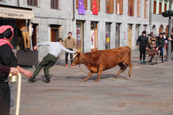 Soka zintzilik eta muturrak  55 1646140707064