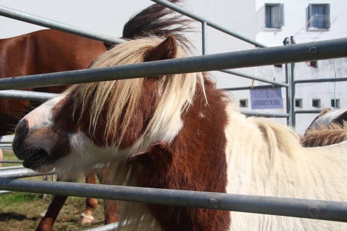 Berezia eta jendetsua 68 1506256842108