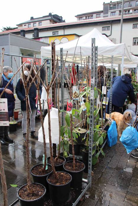 Zuhaitz azoka 2022 21 1645283030603