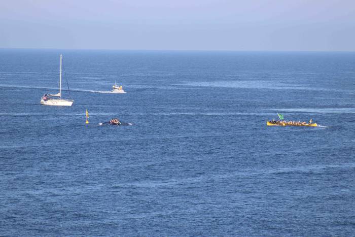 Tolosaldea bosgarren 2021eko 33 1630837100286