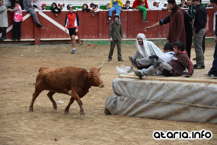 Pattar zezena 2016 35 1455012395516