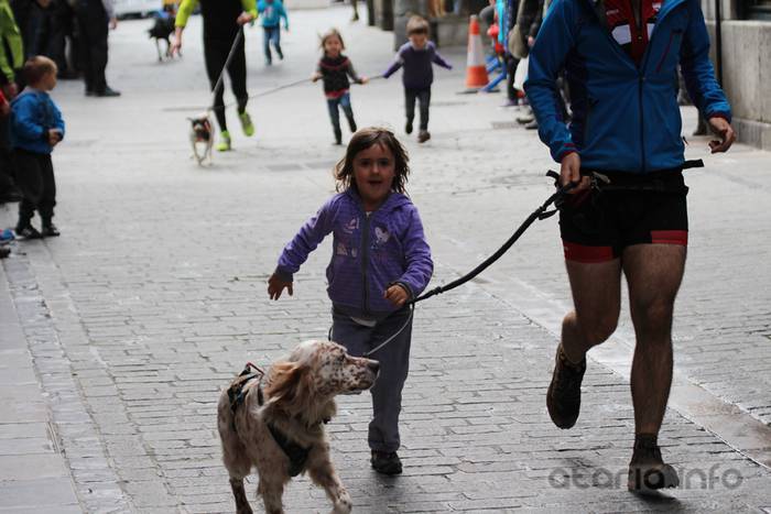 txakur krosa tolosa 2016 25 1458498840909