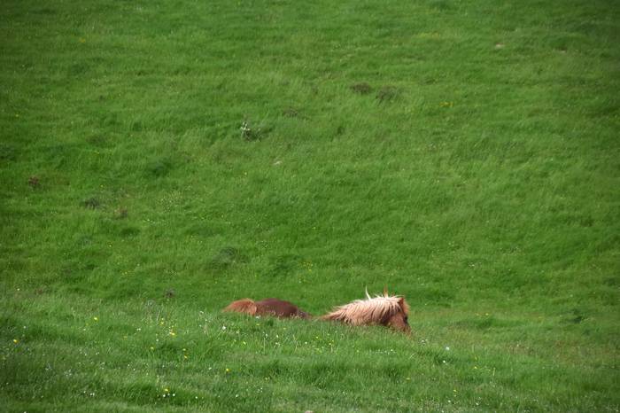 BERASTEG LARRE IREKIERA 2022 14 1652525077629