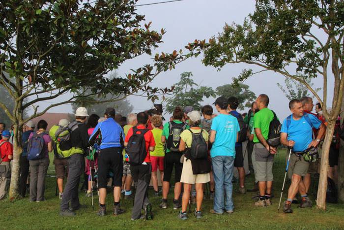 2016 bidea 37 1471776008972