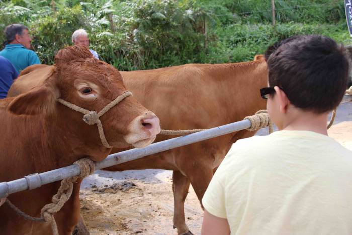 Inoiz baino bereziagoa 59 1568556742002