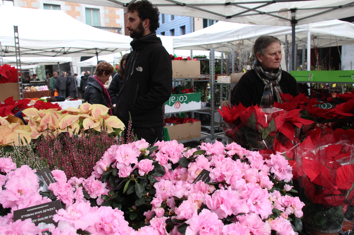 Urteko azken azoka berezia gurtu du Tolosak 52 1481986333725