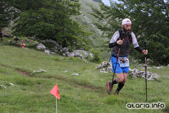 T3T tontor 2016 hernio 64 1466351093835