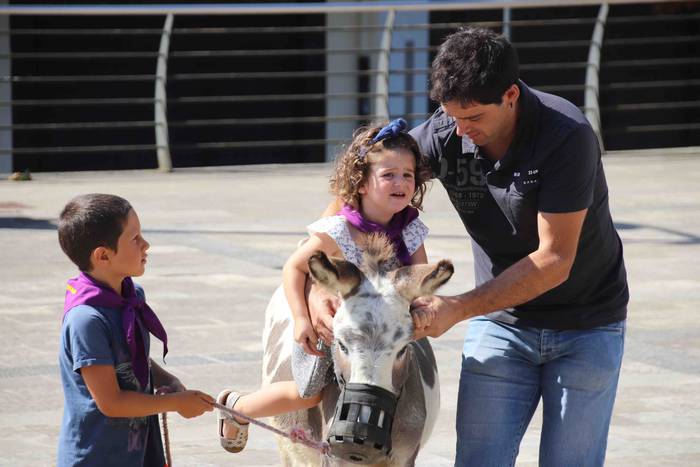 Festak hasteko, poniak eta z 1 1566993961731