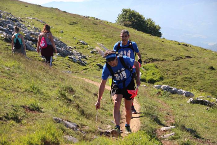 T3T, Hernio 2019 94 1560688453304